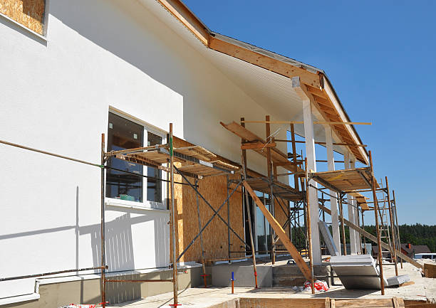 Trusted Hallsville, MO Mold Removal Experts